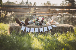  Hochzeitsfotografie Philipp Pohl in Deutschland und Europa