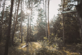  Hochzeitsfotografie Philipp Pohl in Deutschland und Europa
