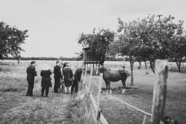  Hochzeitsfotografie Philipp Pohl in Deutschland und Europa